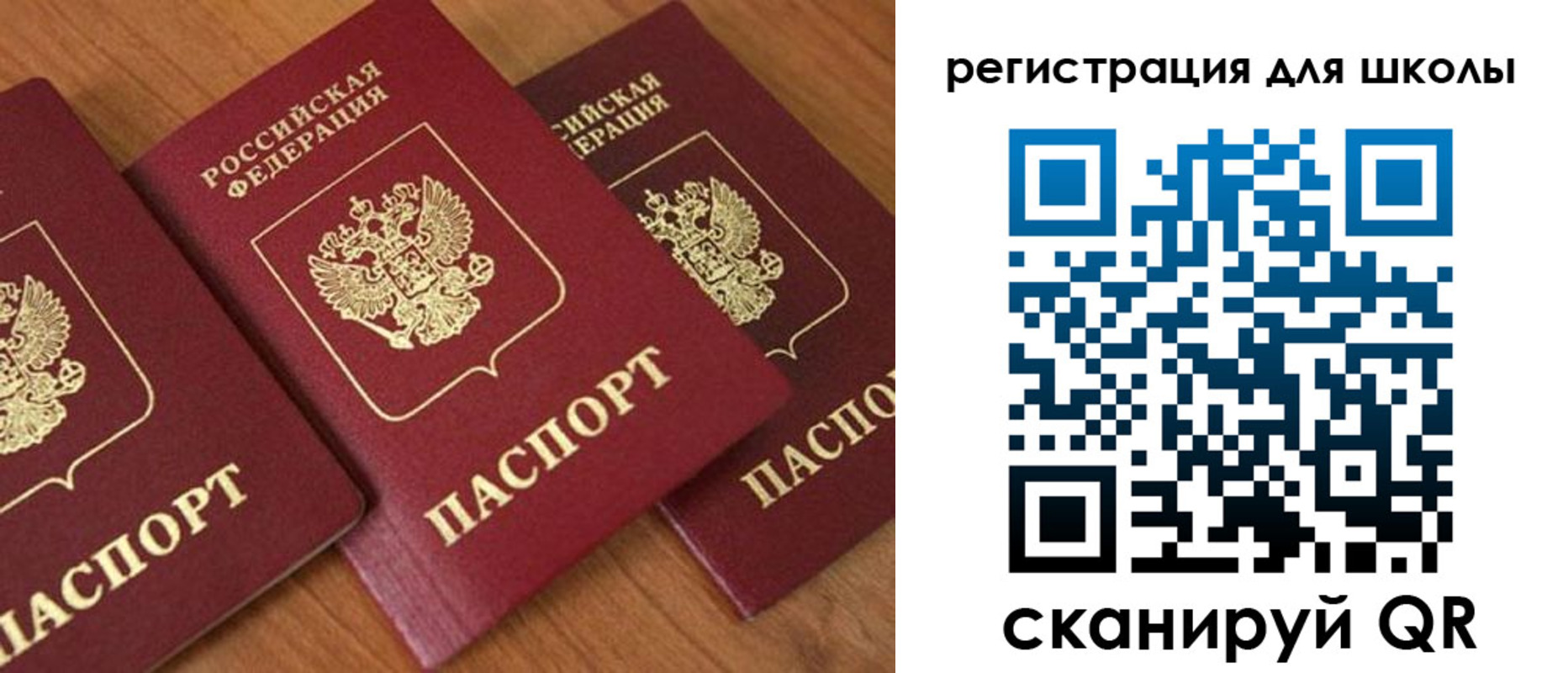 миграционный учет в Мончегорске